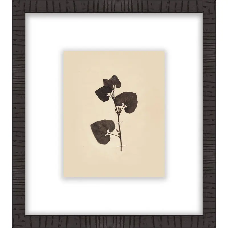 Botanical Iii Minimalist Art Print – 16" X 18" 1