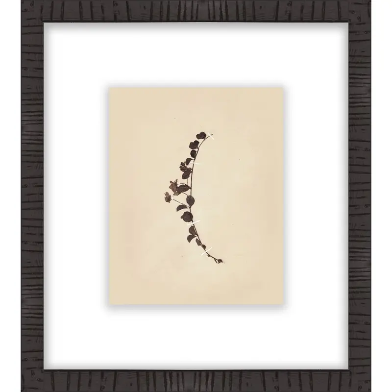Botanical Iv Framed Wall Art – 16 X 18 Inch Nature-Inspired Print 1