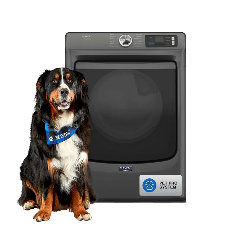 Maytag Mgd7020Ru Smart Pet Pro 7.4 Cu. Ft. Front-Load Gas Dryer In Volcano Black 1