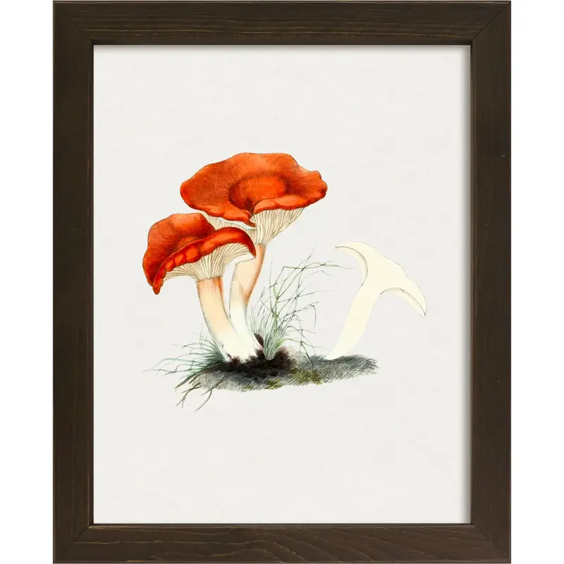 Mushroom-Themed V-Shape Wall Art Print, 9" X 11" 1