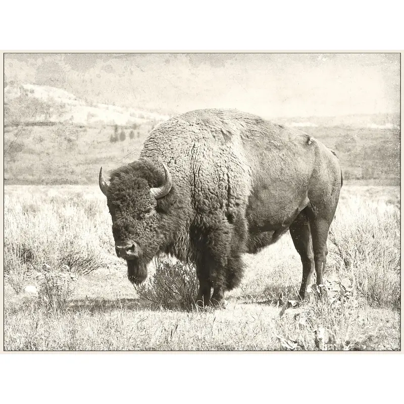 North Range 48" X 36" Canvas Art Print 1