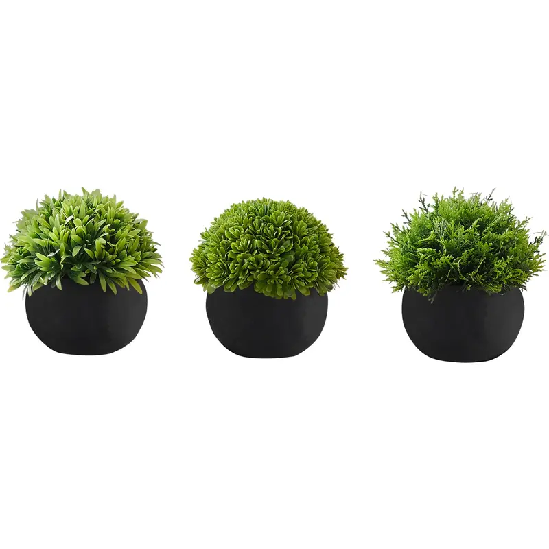 Tri-Pack Indoor Decorative Grass Plants 1