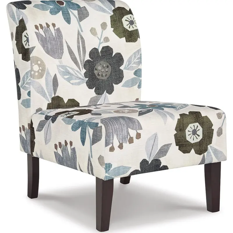 Triptis Multi-Hued Accent Chair With Contemporary Style 1