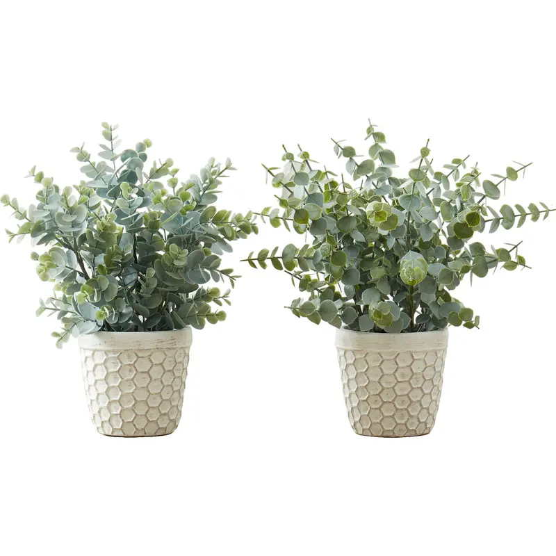 Two-Piece Eucalyptus-Inspired Grass Arrangement 1