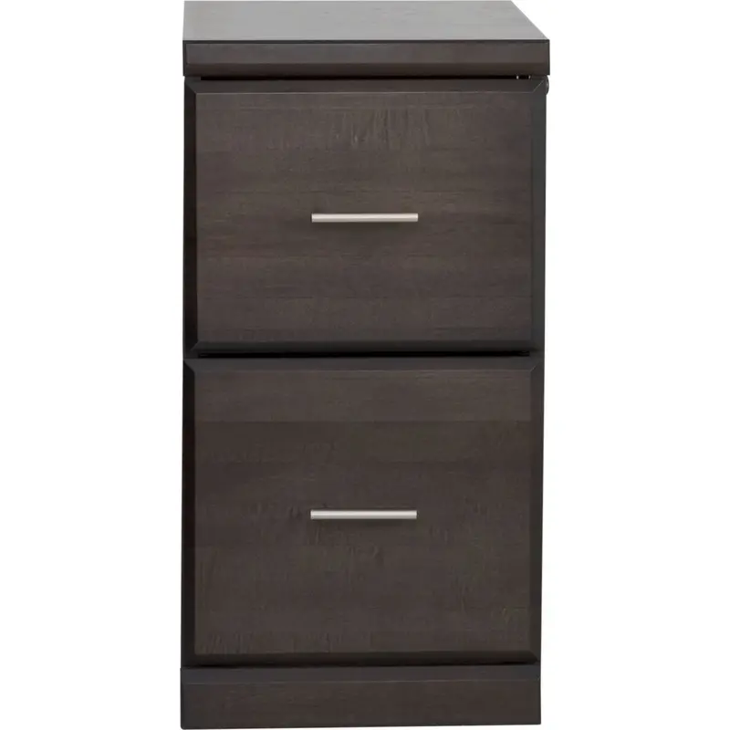 Worksite Charcoal Gray 2-Drawer Vertical File Cabinet For Office Organization 1